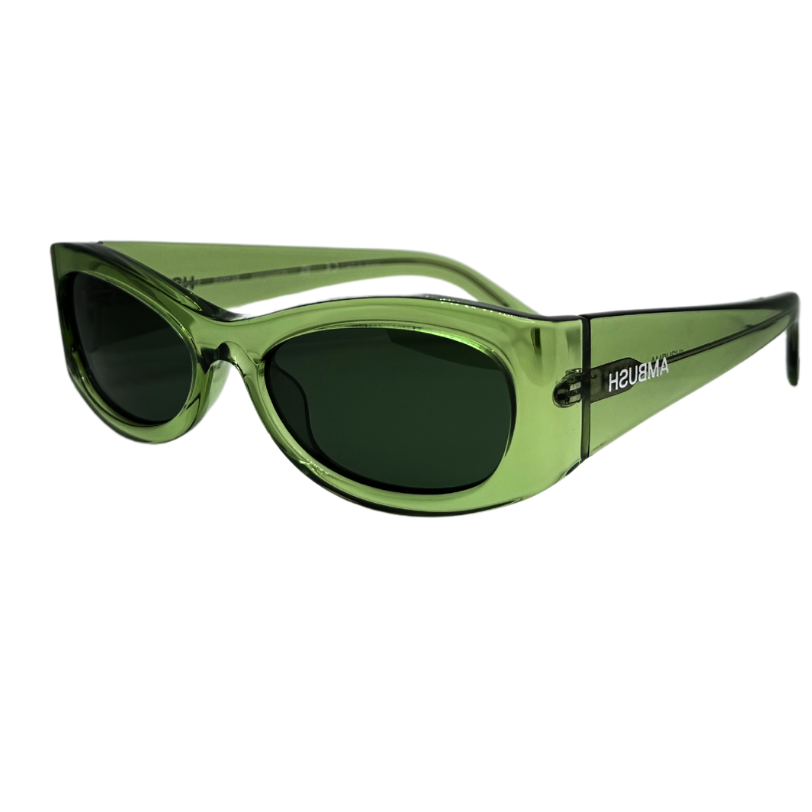 Ambush Bernie Solar