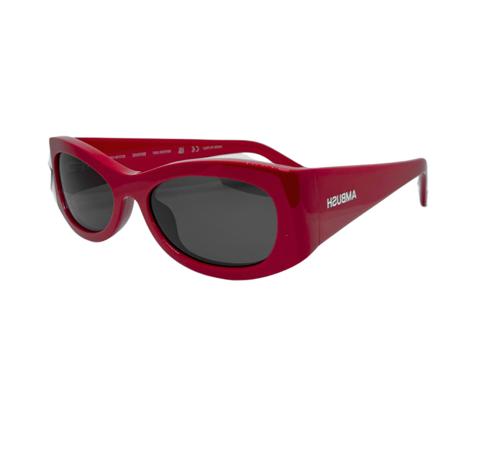 Ambush Bernie Solar