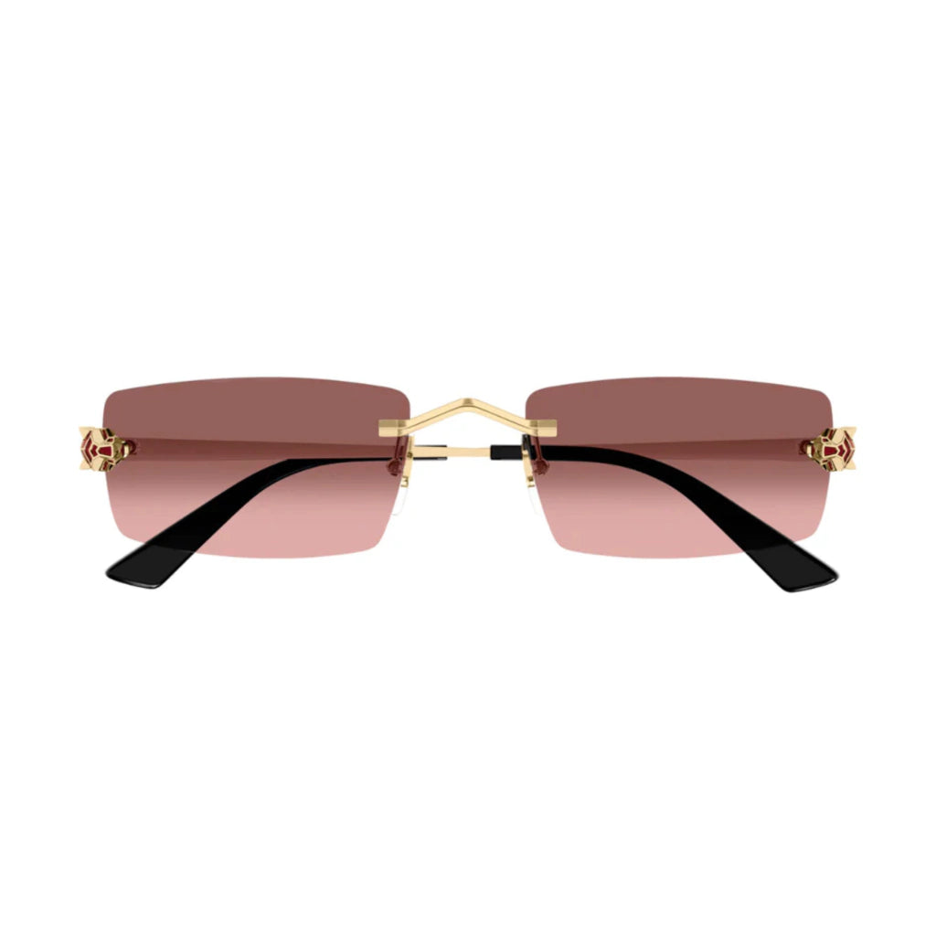 Cartier Solar CT0598S-004