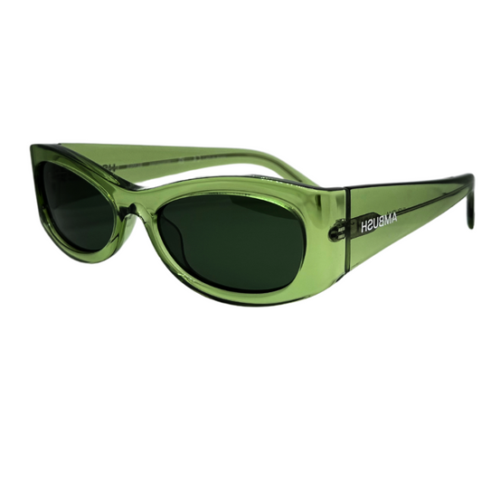 Ambush Bernie Solar