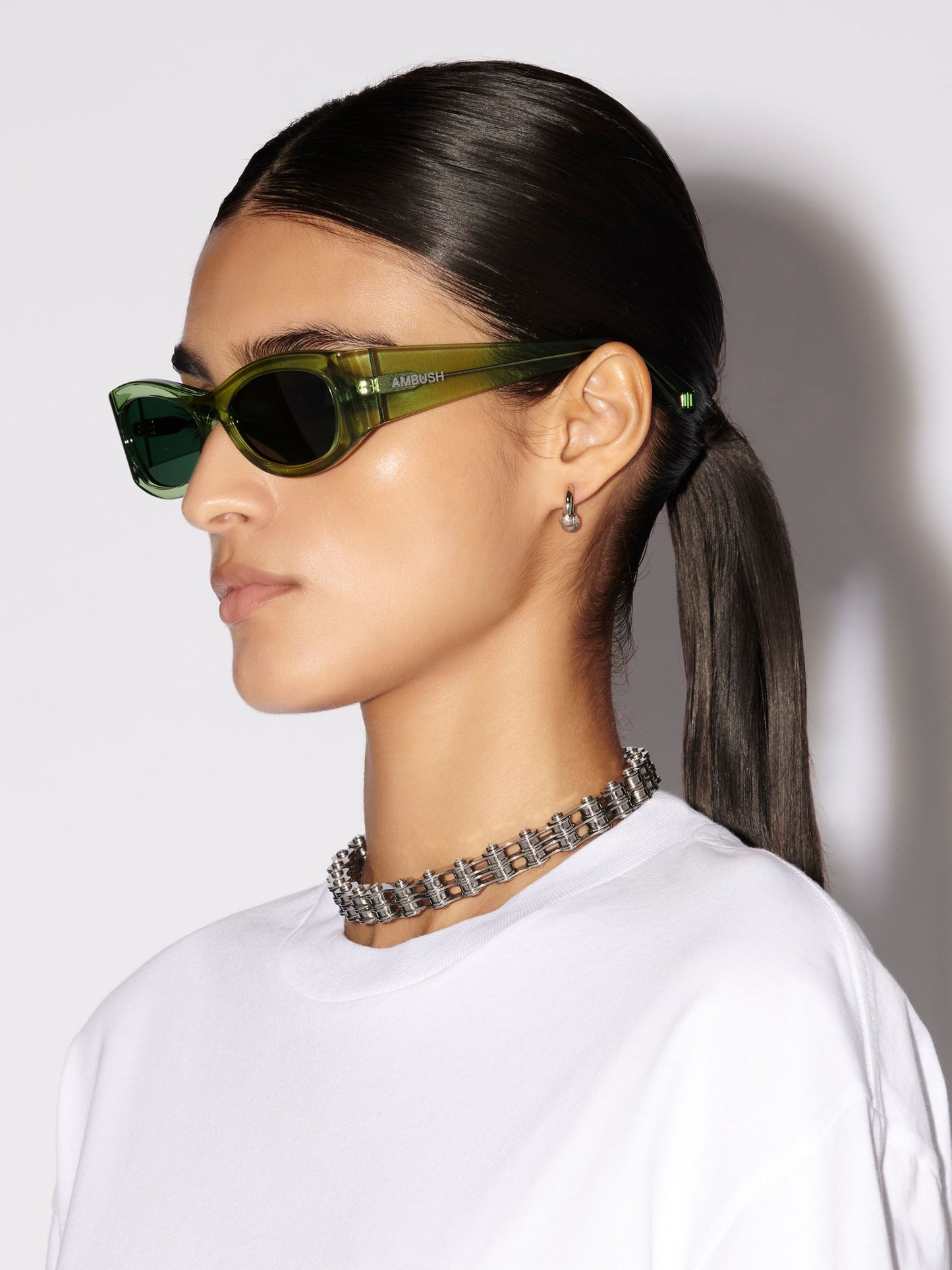 Ambush Bernie Solar